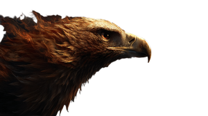 Fiery Soaring Eagle Vinyl Car Decal Sticker – Waterproof & UV-Resistant 2.72"